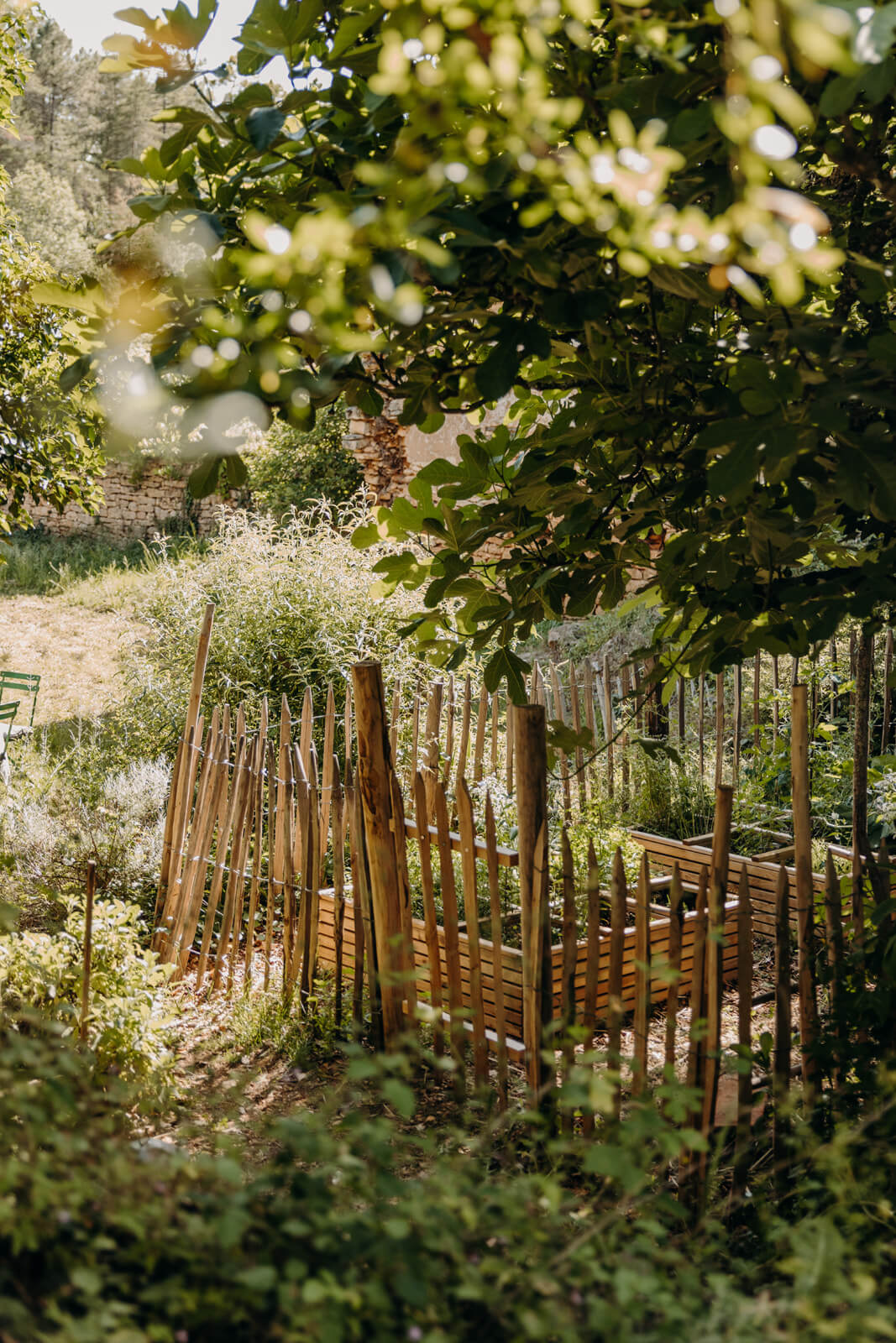 le potager fournit des herbes fraiches et petit légumes à la belle saison