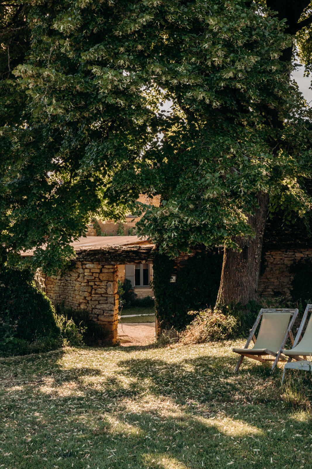 Le grand tilleul domine la cour et le jardin, offrant une ombre agréable aux beaux jours.