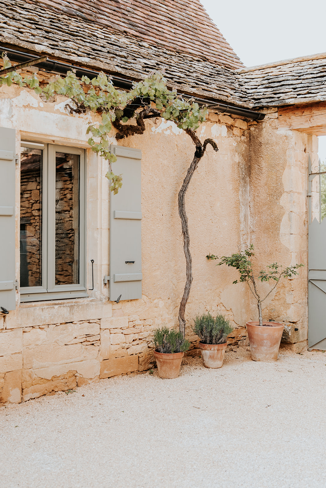 18th century farmhouse in Dordogne region, entirely renovated, charming guest rooms