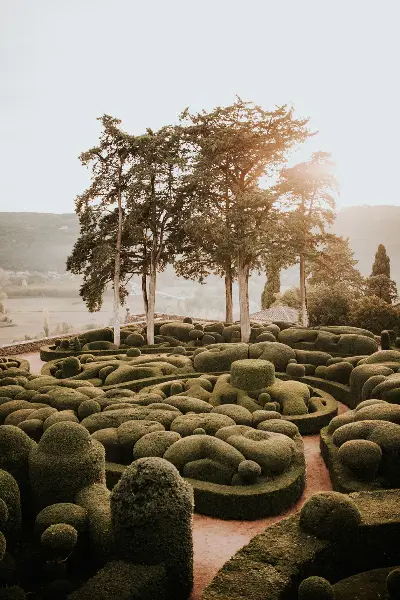 art topiaire au jardin de Marqueyssac