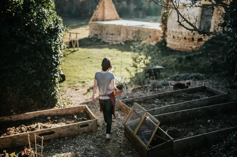 Potager de la maison d’hôtes Bel Estiu