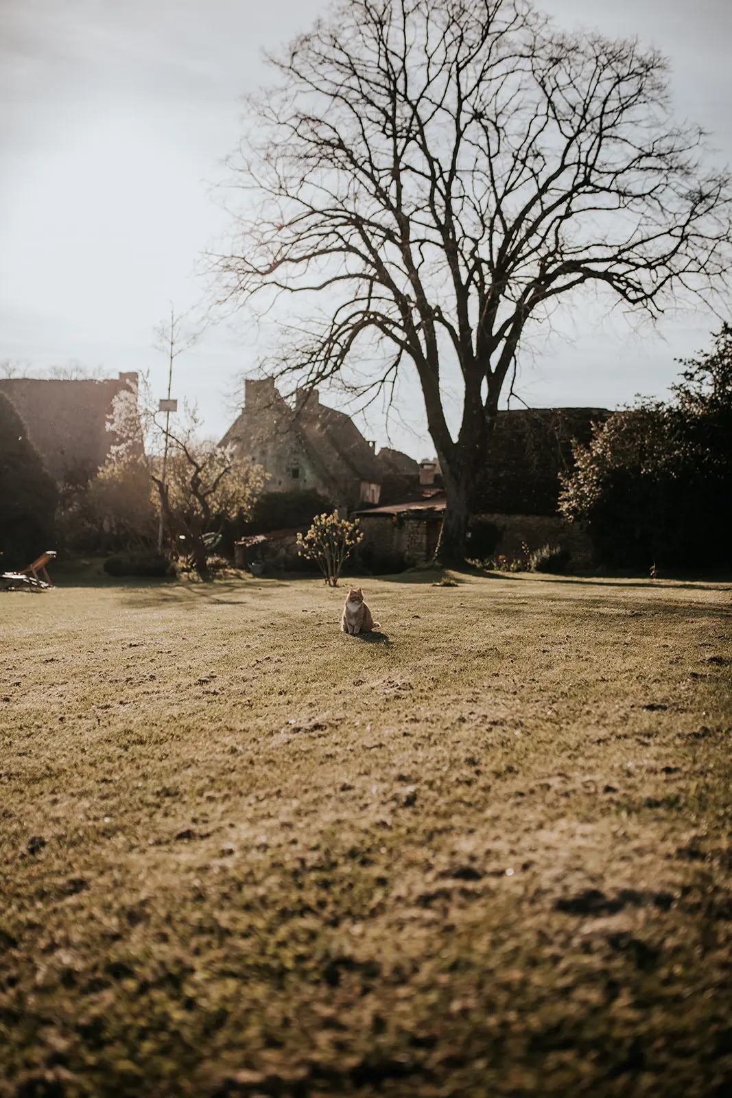 jardin du gîte Bel estiu