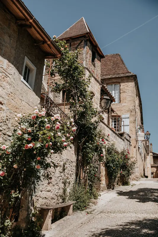 Sarlat, la fête de la truffe.