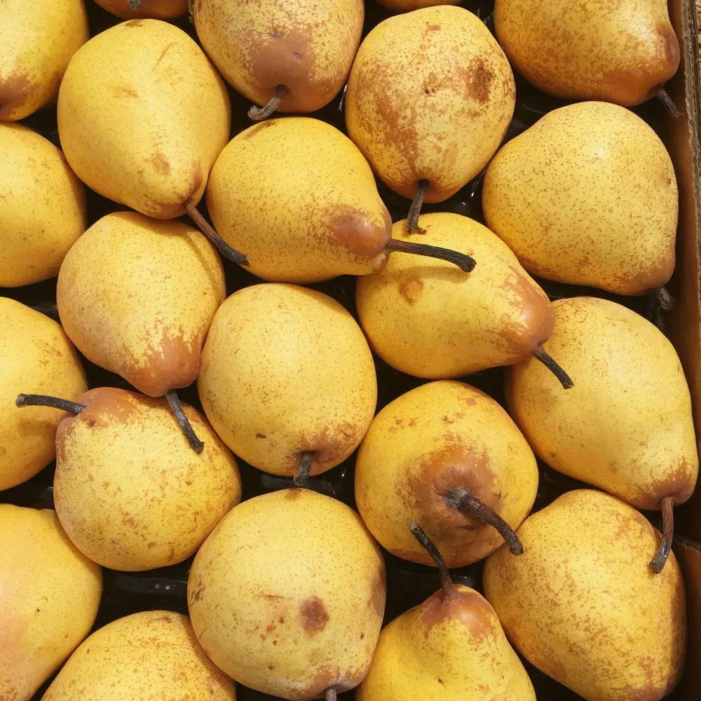 fruits, poires