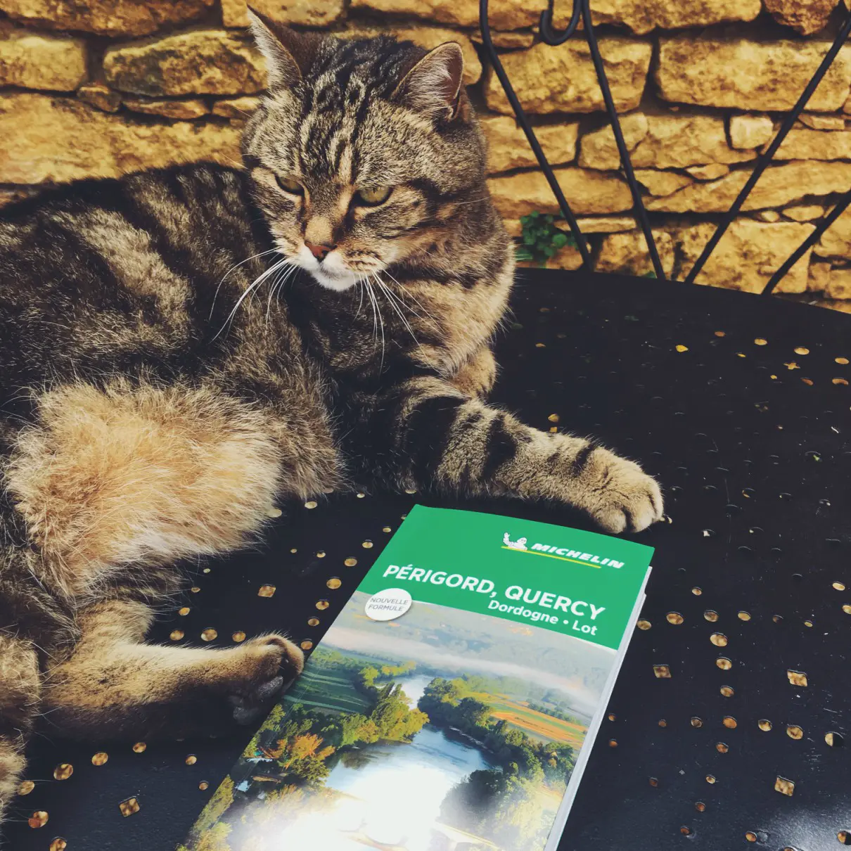 Vignette guide vert Michelin Périgord Quercy 2018